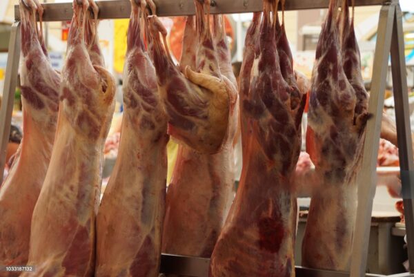 Fresh frozen lamb-sheep-mutton meat